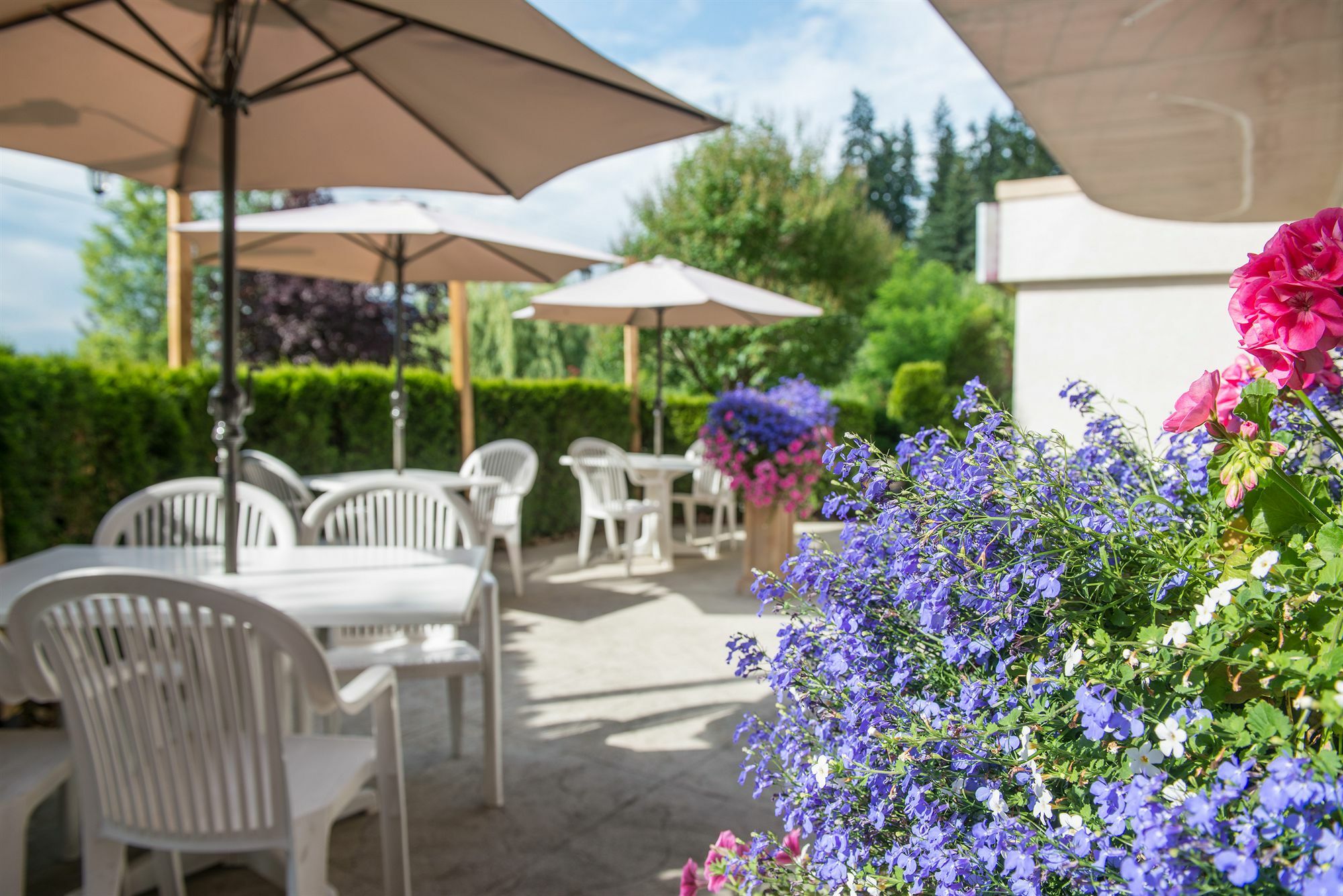Hilltop Inn - Salmon Arm Zewnętrze zdjęcie